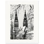 c848441a-9239-49cd-9664-033431a8ee62