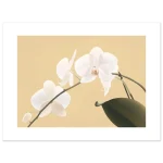 c8557e40-c0d3-44f3-859b-6617396b94de