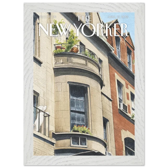 c8914da9-c115-46f3-9f8b-9d2404cecb46