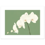 c90227b1-308e-424e-8a6d-dec2e30dc1ef