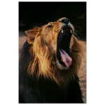 c98e791d-79e5-4b83-a035-445b826acb54