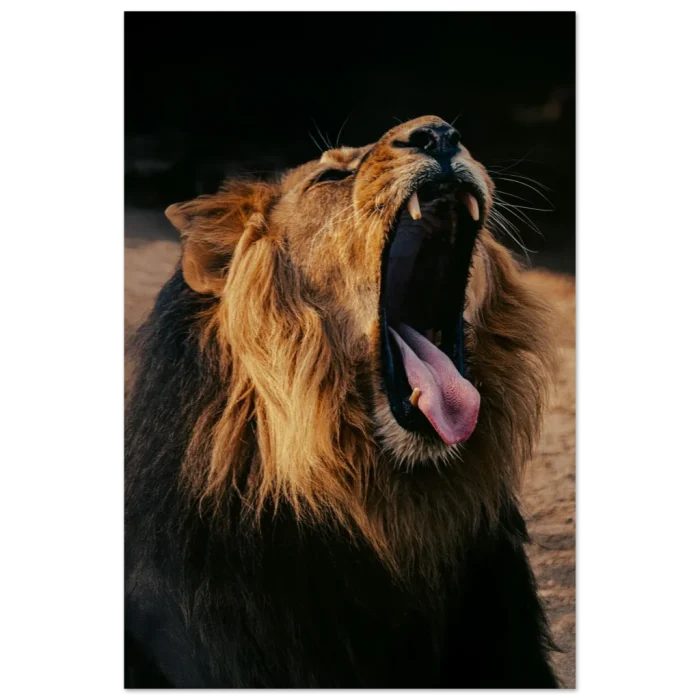 c98e791d-79e5-4b83-a035-445b826acb54