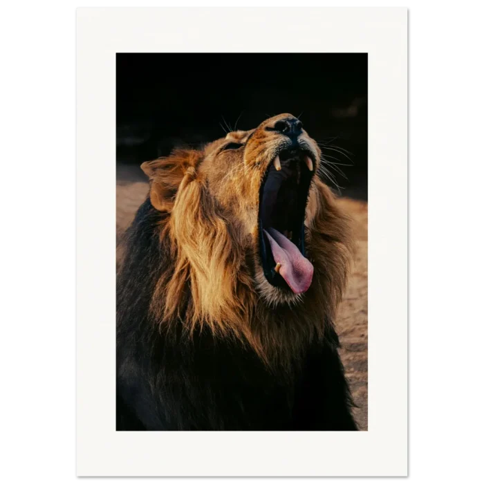 c9ae7cc6-c26c-41c9-b968-20ad692ee577