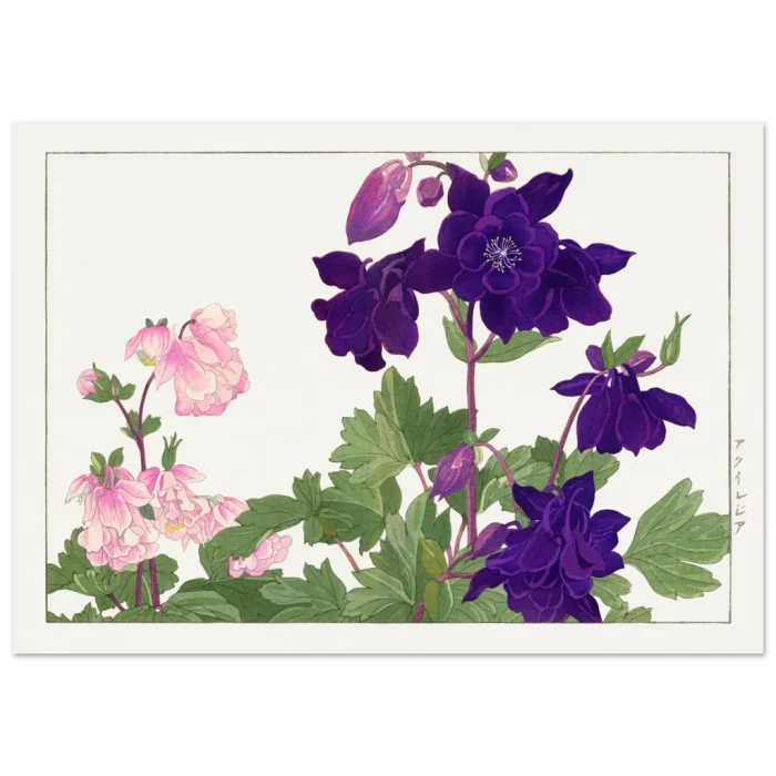 ca268325-8e7d-440d-a0c2-77ac63fa5672