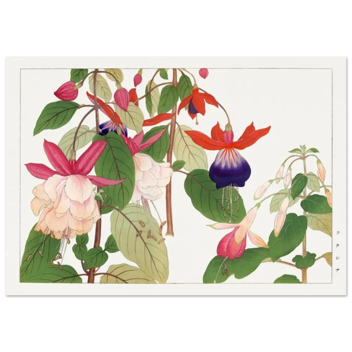 ca29b70d-6abd-4e95-a82b-8863943cc365