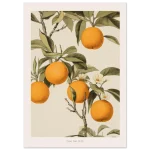 ca898f0c-0e88-443e-8075-beb863426a0f