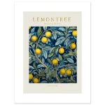 cabc9d9f-d09a-499b-8822-12e285900d42