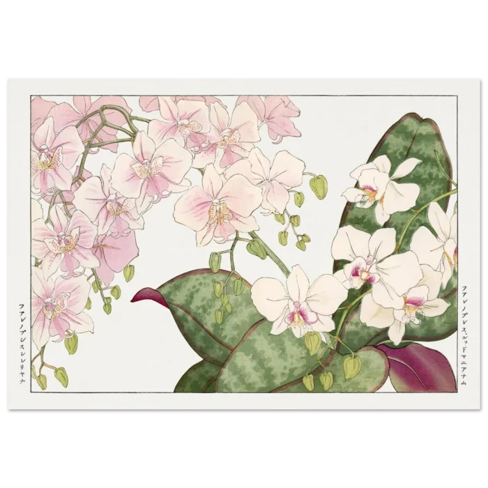 cbd2e4b9-216b-416a-8bcb-d1ab0f6f2641