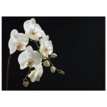 cd1aa892-1a14-47b2-a752-8979bbc93b93