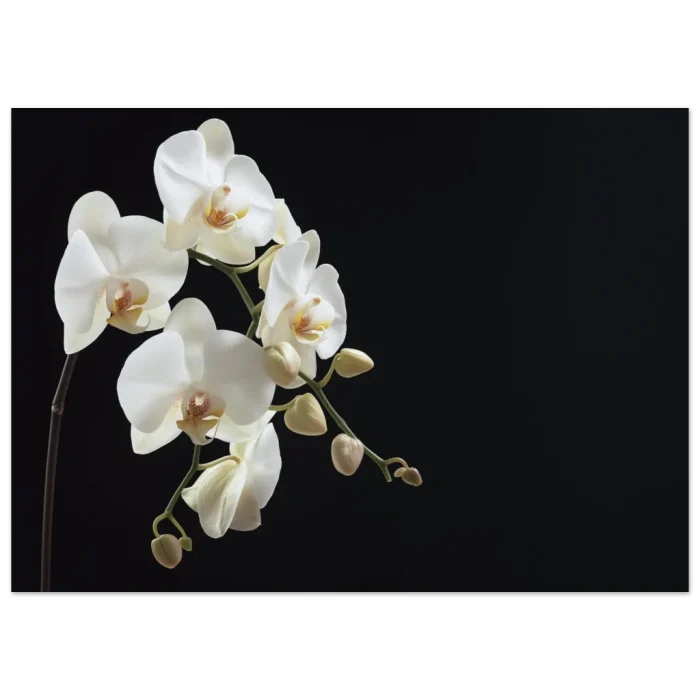 cd1aa892-1a14-47b2-a752-8979bbc93b93