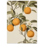 ce0dcfad-a902-49e8-98a9-e2184f7f7b0d