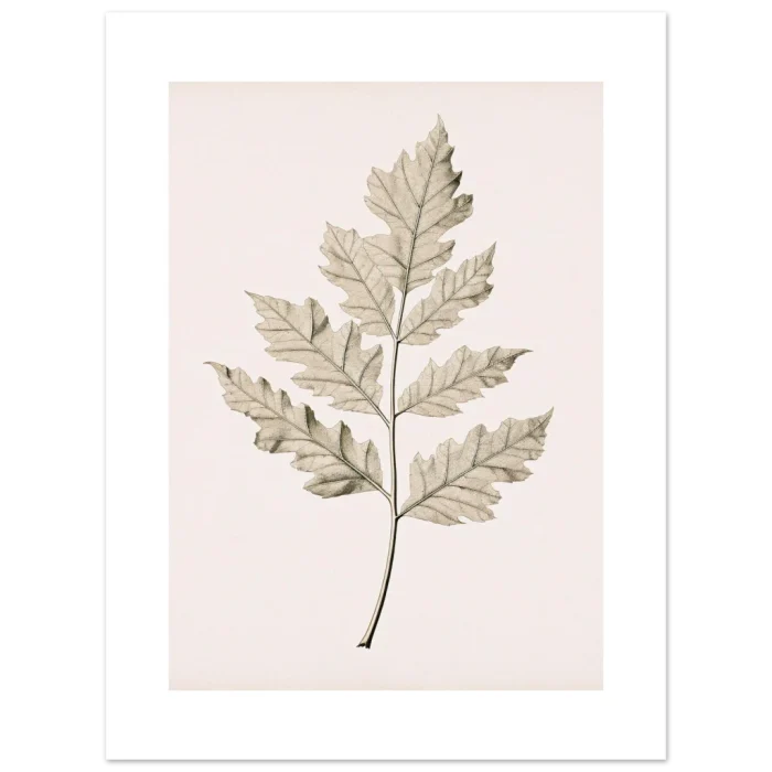 ce6b8782-8f33-4d39-ba17-7319c7bbd3c4