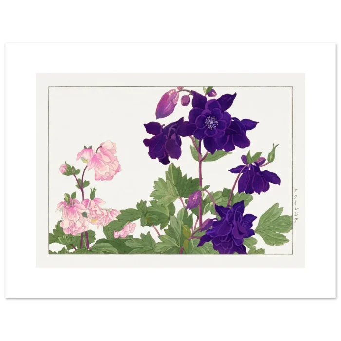 ce97744c-1675-4042-b2fa-bd8add9e8169