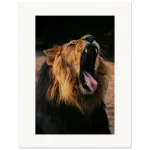 ceae91e3-038b-4270-9856-5192f990c046