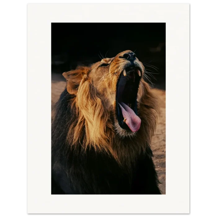 ceae91e3-038b-4270-9856-5192f990c046