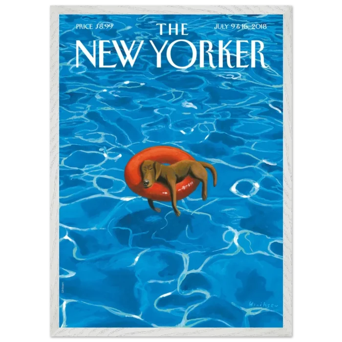 cf544991-980d-46ef-9b58-df574e16dad3