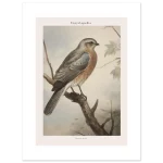 cf64e57f-677b-49dd-a81f-aef8577e980f