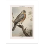 d00db441-1371-48c8-87ec-2c78209bc942