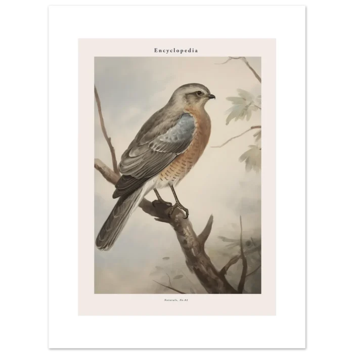 d00db441-1371-48c8-87ec-2c78209bc942