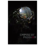 d011baae-483a-43a1-af9c-c8b78fdb2cda