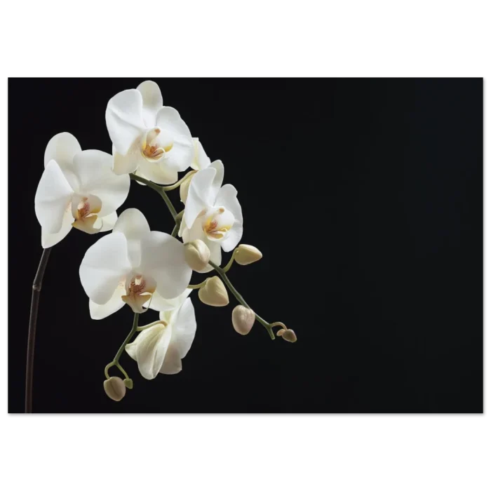 d182672b-b32c-4451-8e58-034796ae191e