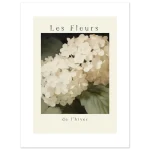 d1e88e9e-8857-4e3e-a399-ac0dddf2a495