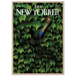 d2492471-adde-4df6-986a-f4966deecd00