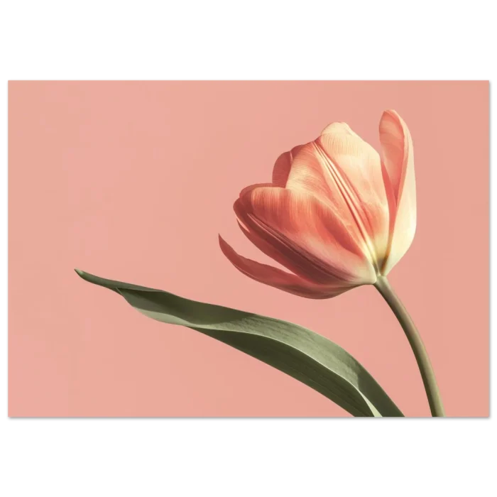 d30e97d7-fcb6-4064-b1a2-1b793f1fe438