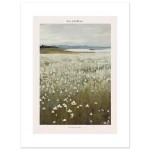 d3df43ff-cf21-4beb-91d3-6ee3a02badf4