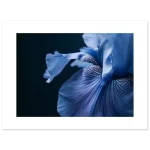 d49232de-1a8b-47d1-a9a1-91aaf4c18e9c