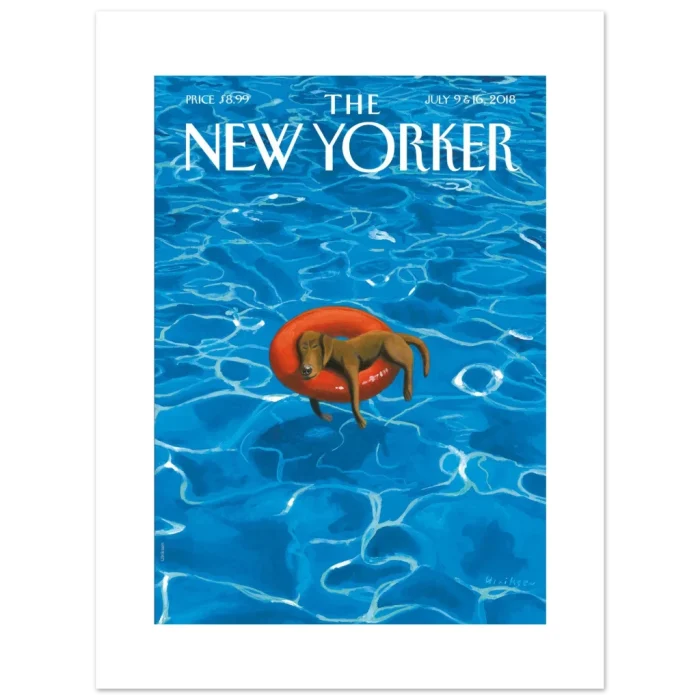 d492e52f-092f-4e0f-8df6-2e63c7b74d98