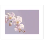 d4c0cc19-48ac-49a8-8ffa-ce2a7040333f