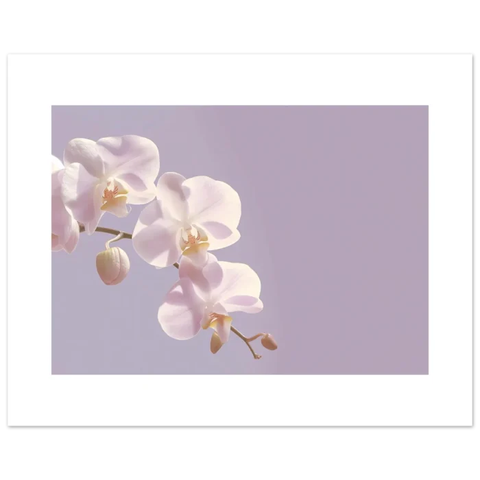 d4c0cc19-48ac-49a8-8ffa-ce2a7040333f