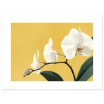 d4e85641-a94f-4818-b7f9-79a85c05d32f