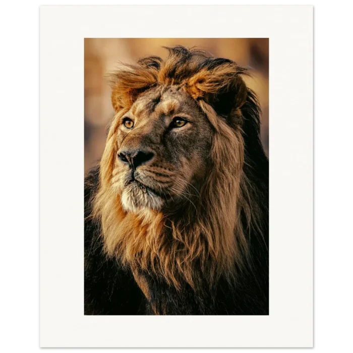 d4f64ddd-306e-458a-9b34-16555f3b306e