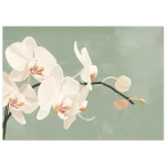 d5858345-b901-4e9f-83d1-30263fcdc31e