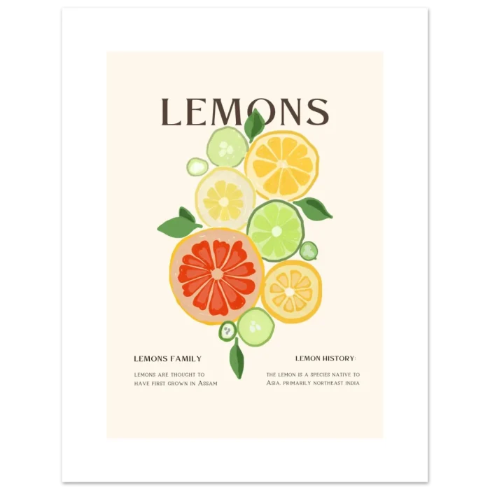 d792b2ea-6c2c-4646-ae56-74159e0eac4c