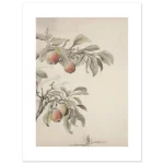 d7c910fd-ccda-4d97-8620-24de975c9ebc