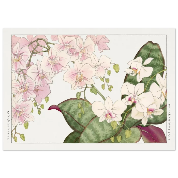 d81fa1cf-a937-4c2b-a689-91c47c4c7376