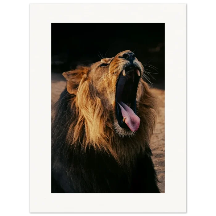 d85d2e83-adcf-4498-9aaf-3e8247fdf101