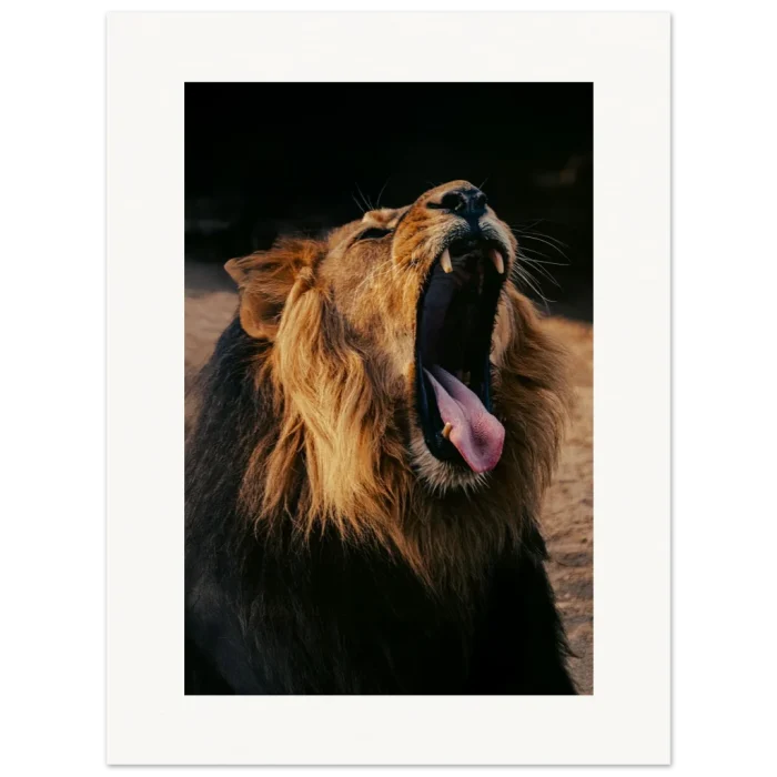 d8e850f2-6551-448e-84ab-6f354e4d2553