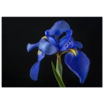 db7e6c15-be2e-48e4-8baf-aa6d6864c060