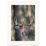 dd0068b9-eab1-4bb3-bfef-4d976202d880