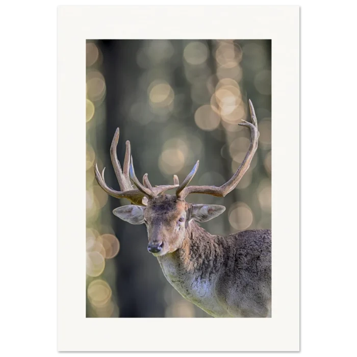 dd0068b9-eab1-4bb3-bfef-4d976202d880