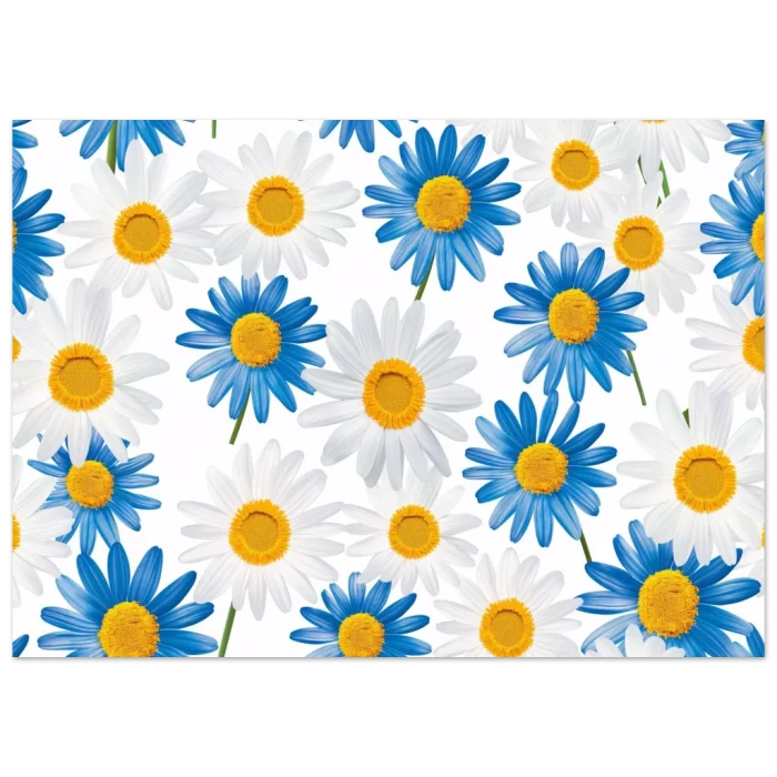 dd16d7bc-9b1e-4f11-9193-6b579b074f2a