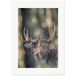 dd3025fd-0988-468a-b45c-926580ca5cc2