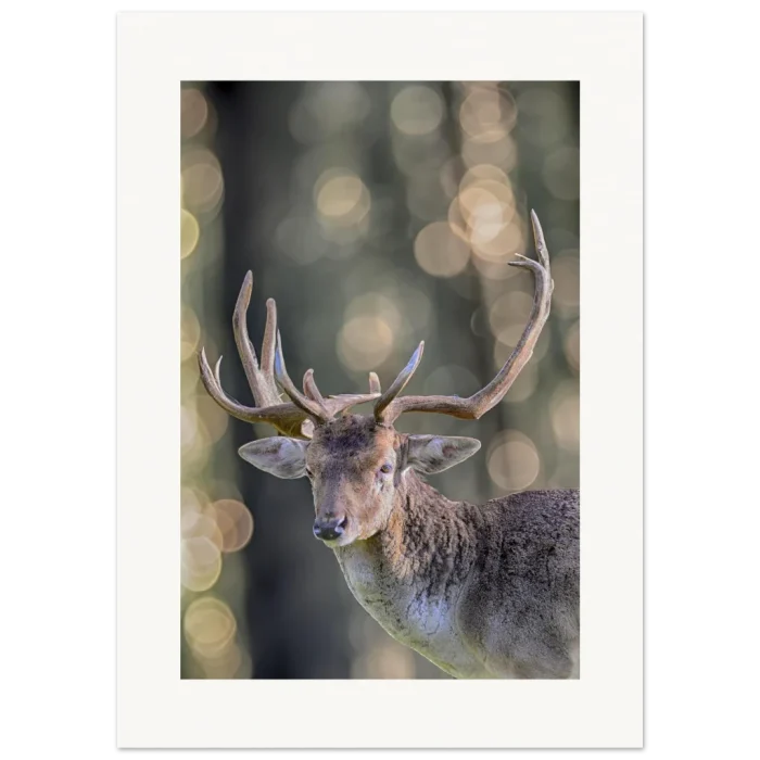 dd3025fd-0988-468a-b45c-926580ca5cc2