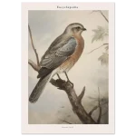 dd425156-cbe4-4bf1-ab7f-17aeb2a267d7