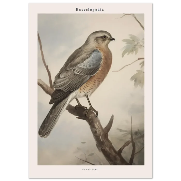 dd425156-cbe4-4bf1-ab7f-17aeb2a267d7