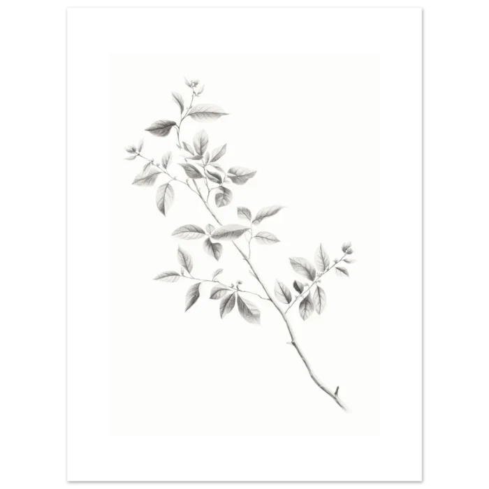 dd43669a-dc54-4b22-a078-043e97f4e83b